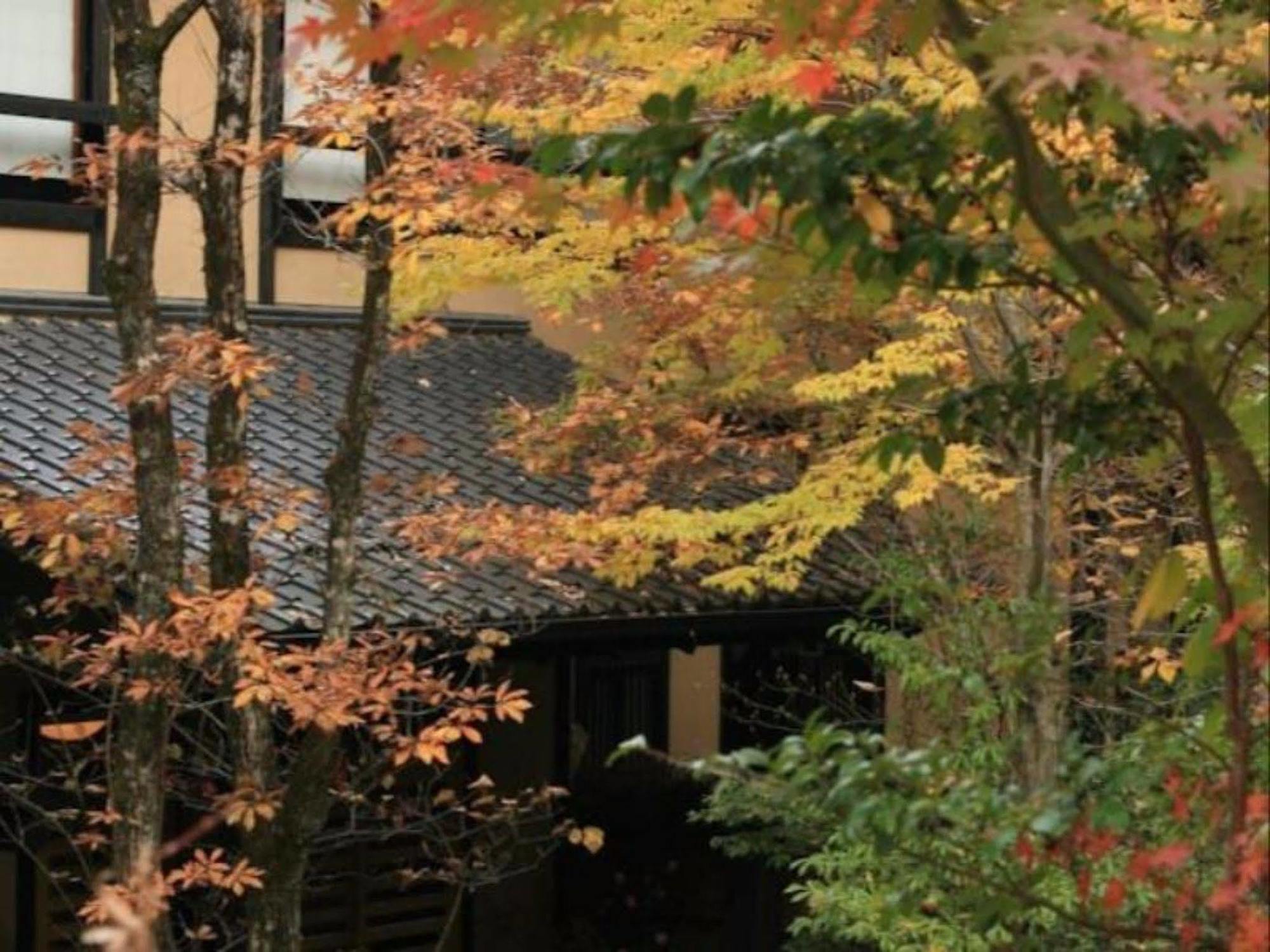 Ryokan Wakaba Minamioguni Dış mekan fotoğraf
